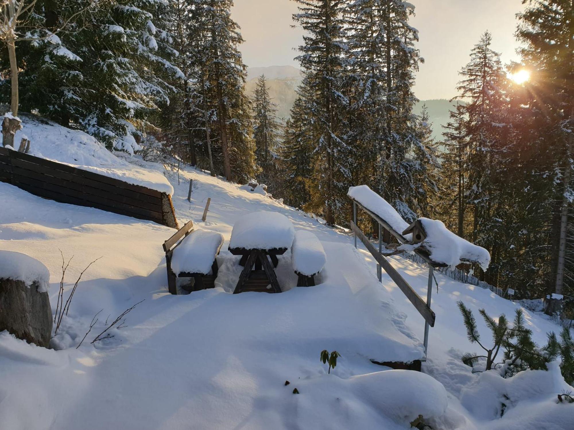 Burehuesli Axalp Villa Kültér fotó